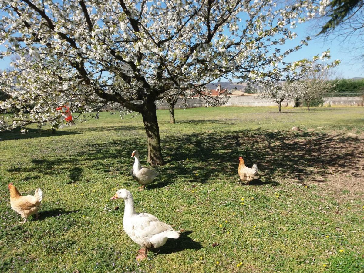 Chez Anne Marie Daire Beausemblant Dış mekan fotoğraf